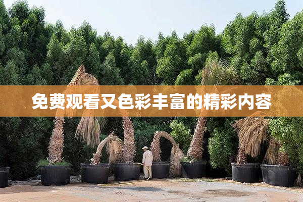 免费观看又色彩丰富的精彩内容
