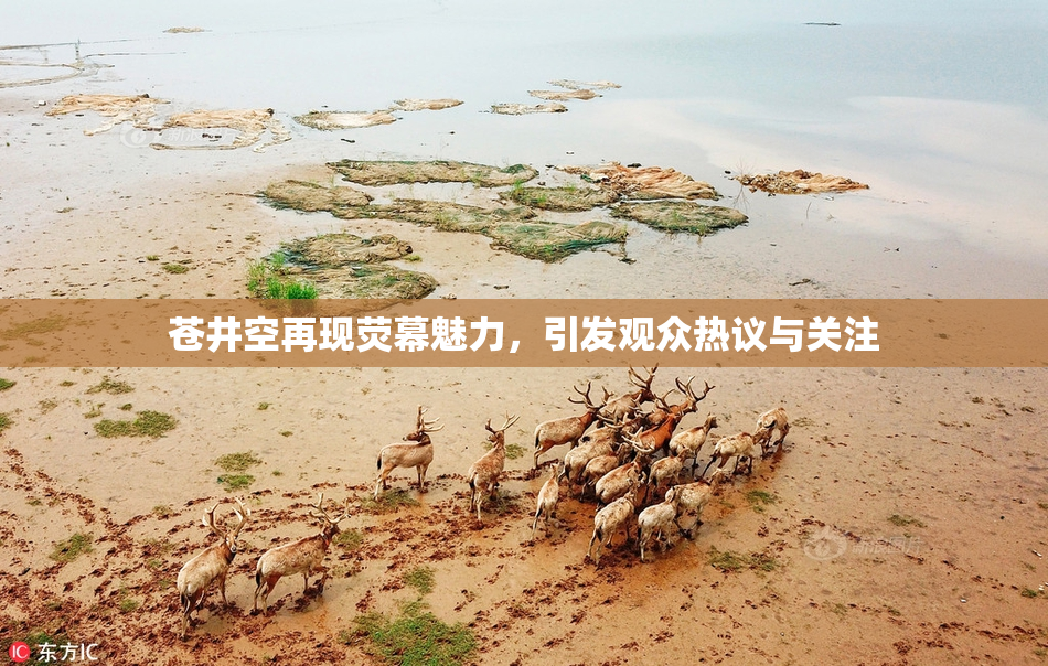 苍井空再现荧幕魅力，引发观众热议与关注