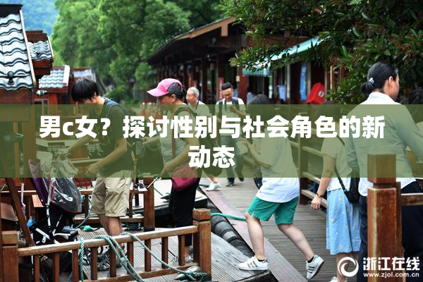 男c女？探讨性别与社会角色的新动态