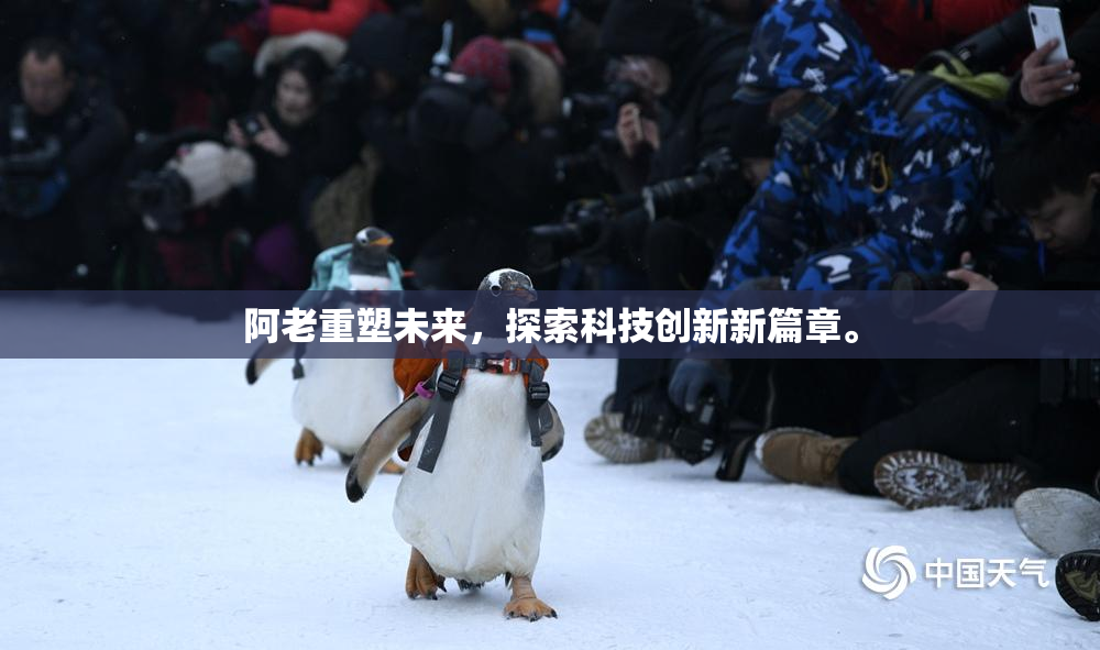 阿老重塑未来，探索科技创新新篇章。