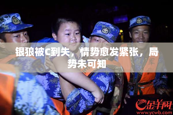 银狼被C到失，情势愈发紧张，局势未可知