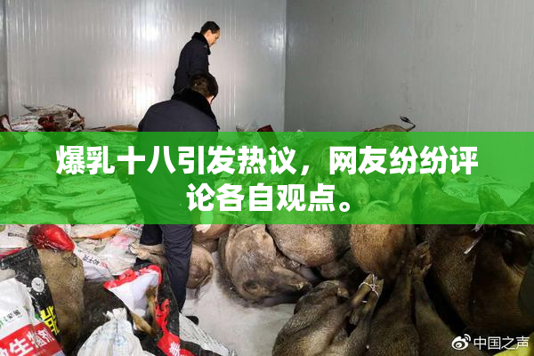 爆乳十八引发热议，网友纷纷评论各自观点。