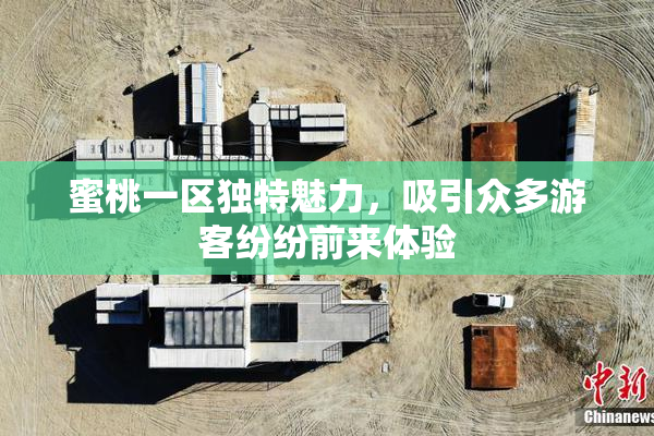 蜜桃一区独特魅力，吸引众多游客纷纷前来体验
