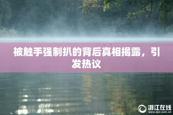 被触手强制扒的背后真相揭露，引发热议