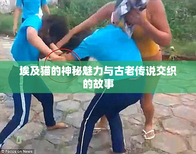 埃及猫的神秘魅力与古老传说交织的故事