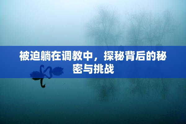 被迫躺在调教中，探秘背后的秘密与挑战