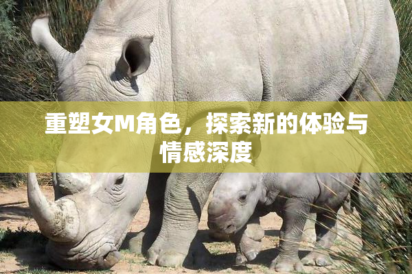 重塑女M角色，探索新的体验与情感深度