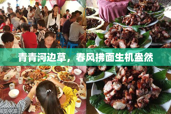 青青河边草，春风拂面生机盎然