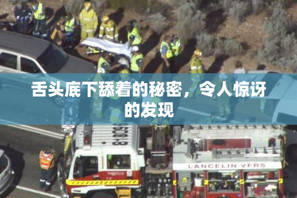 舌头底下舔着的秘密，令人惊讶的发现