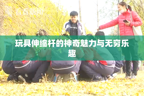 玩具伸缩杆的神奇魅力与无穷乐趣