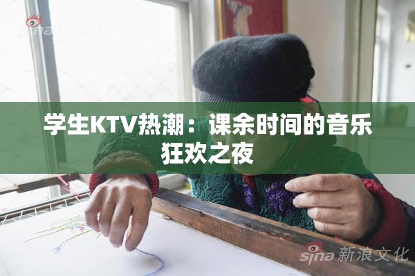 学生KTV热潮：课余时间的音乐狂欢之夜
