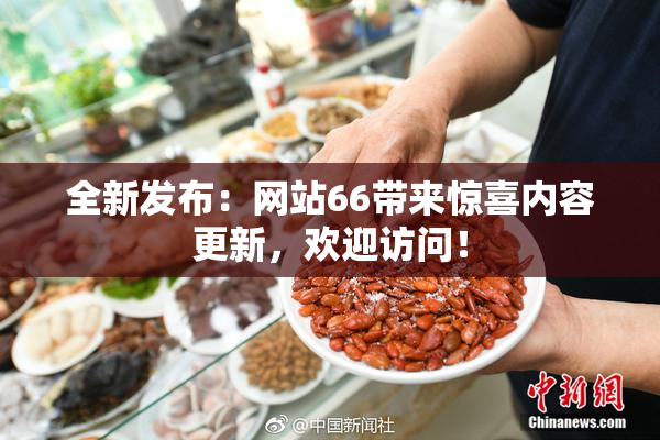 全新发布：网站66带来惊喜内容更新，欢迎访问！