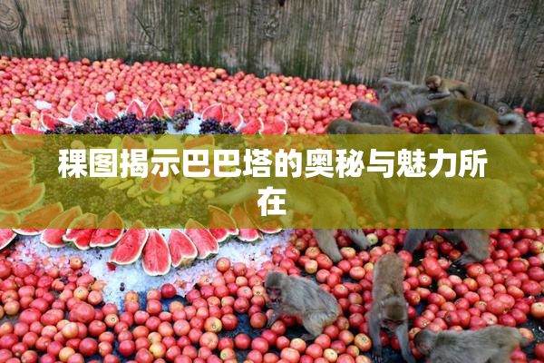 稞图揭示巴巴塔的奥秘与魅力所在