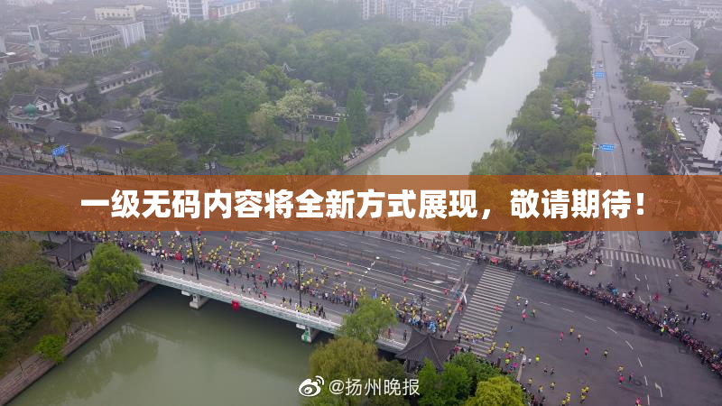 一级无码内容将全新方式展现，敬请期待！