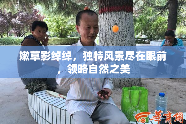 嫩草影绰绰，独特风景尽在眼前，领略自然之美