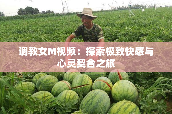 调教女M视频：探索极致快感与心灵契合之旅