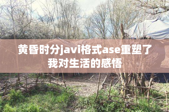 黄昏时分javi格式ase重塑了我对生活的感悟
