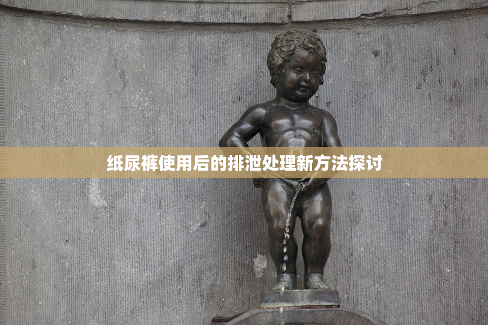纸尿裤使用后的排泄处理新方法探讨
