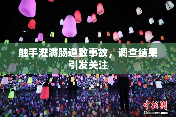 触手灌满肠道致事故，调查结果引发关注