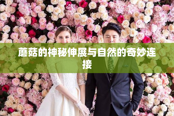 蘑菇的神秘伸展与自然的奇妙连接