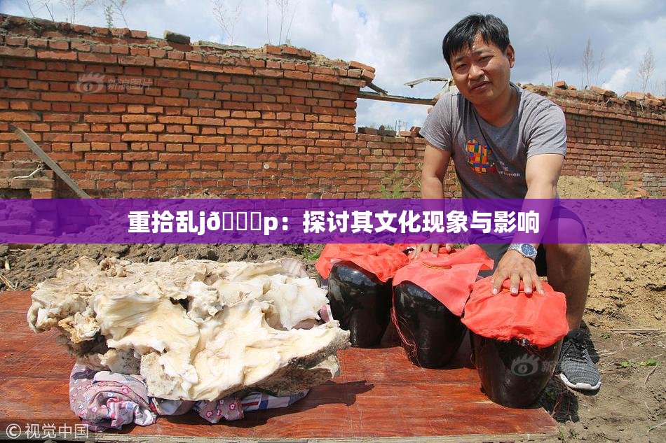 重拾乱j🈚p：探讨其文化现象与影响