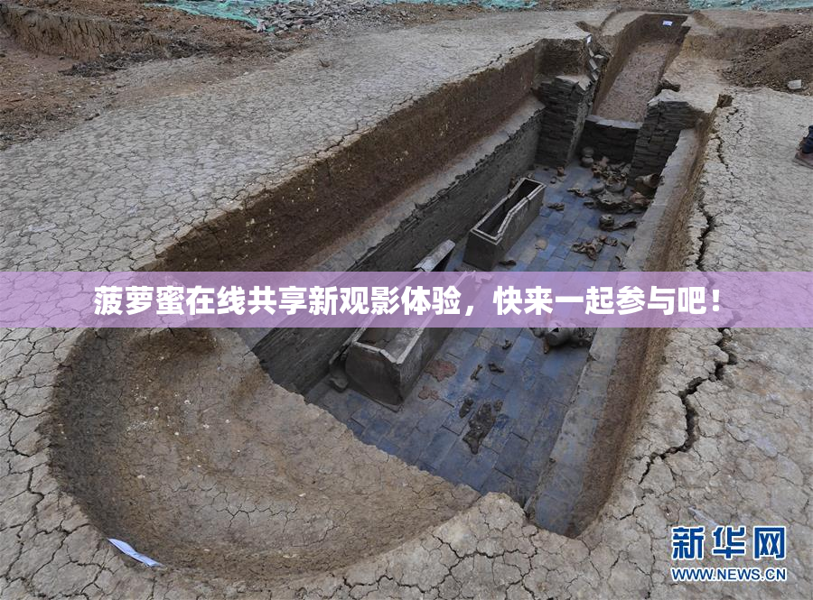 菠萝蜜在线共享新观影体验，快来一起参与吧！
