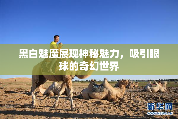 黑白魅魔展现神秘魅力，吸引眼球的奇幻世界