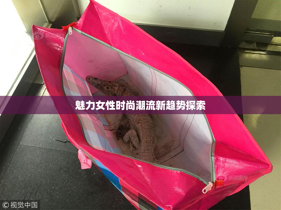 魅力女性时尚潮流新趋势探索