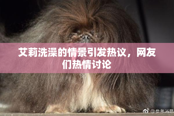 艾莉洗澡的情景引发热议，网友们热情讨论