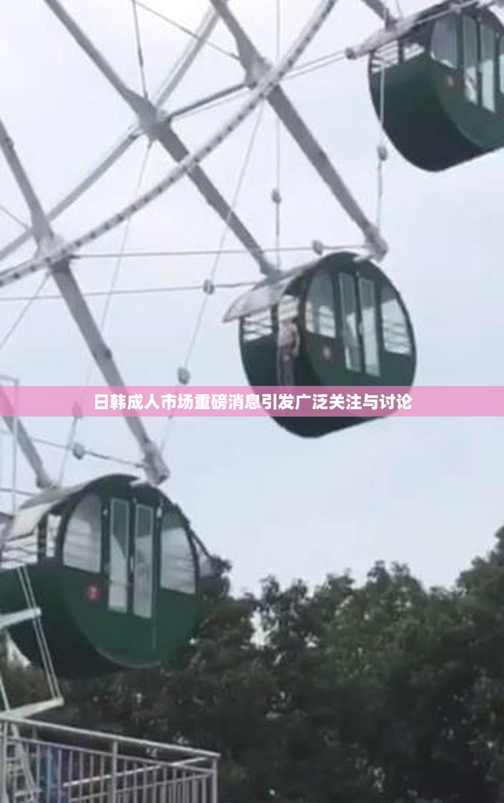 日韩成人市场重磅消息引发广泛关注与讨论