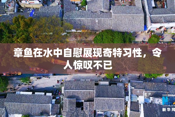 章鱼在水中自慰展现奇特习性，令人惊叹不已