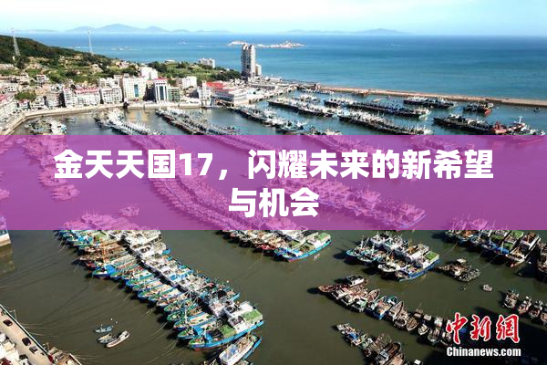 金天天国17，闪耀未来的新希望与机会