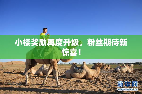 小樱奖励再度升级，粉丝期待新惊喜！
