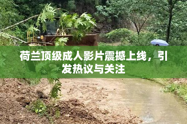 荷兰顶级成人影片震撼上线，引发热议与关注