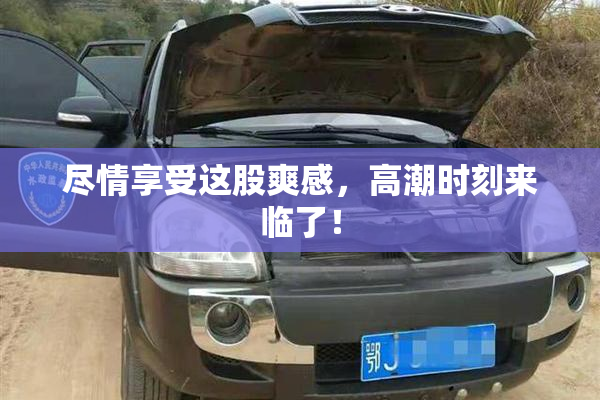 尽情享受这股爽感，高潮时刻来临了！