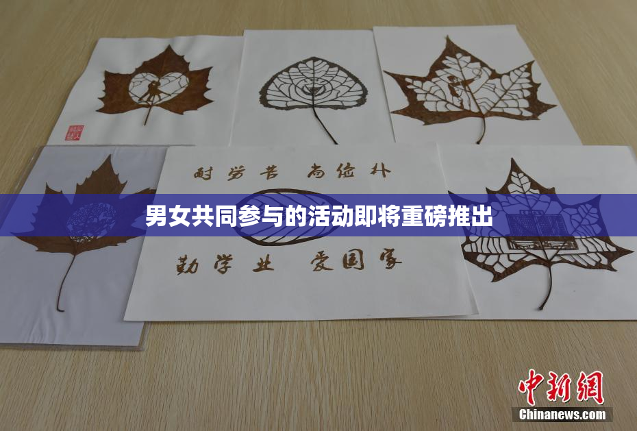 男女共同参与的活动即将重磅推出