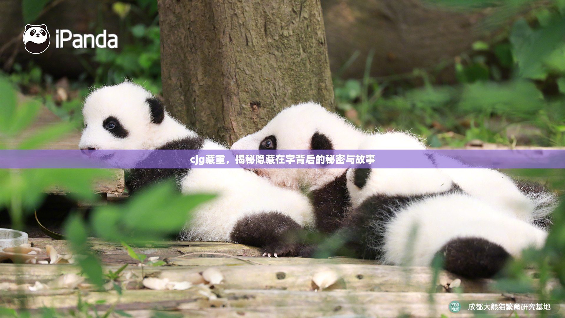 cjg藏重，揭秘隐藏在字背后的秘密与故事