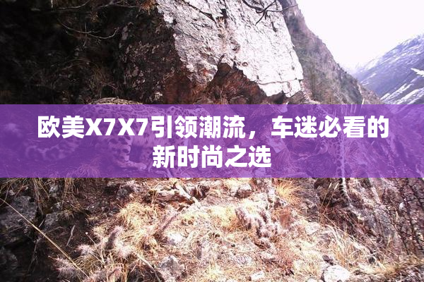 欧美X7X7引领潮流，车迷必看的新时尚之选