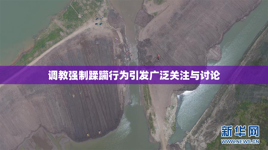 调教强制蹂躏行为引发广泛关注与讨论