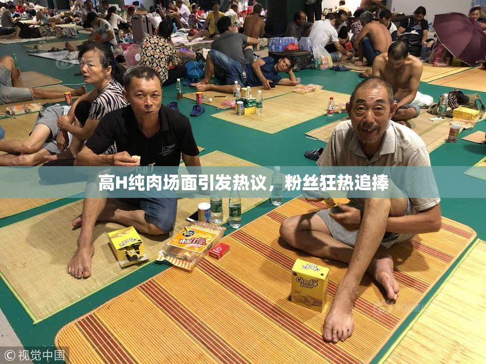 高H纯肉场面引发热议，粉丝狂热追捧