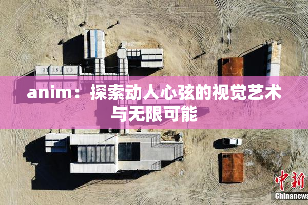 anim：探索动人心弦的视觉艺术与无限可能