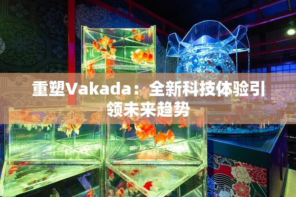 重塑Vakada：全新科技体验引领未来趋势