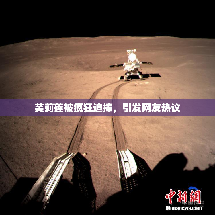 芙莉莲被疯狂追捧，引发网友热议