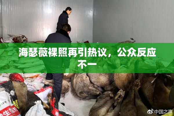 海瑟薇裸照再引热议，公众反应不一