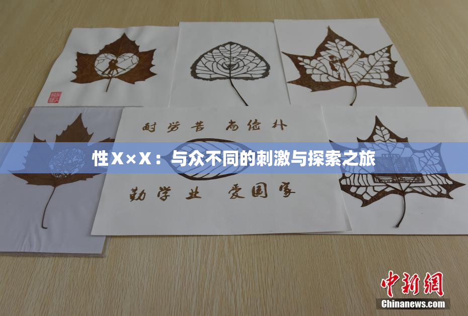 性Ⅹ×Ⅹ：与众不同的刺激与探索之旅