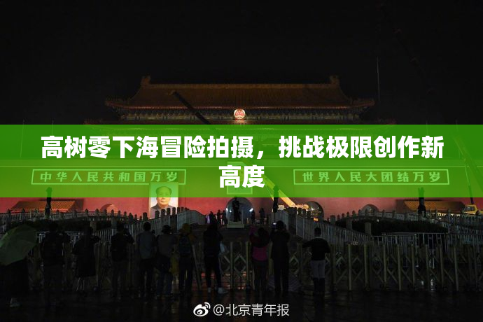 高树零下海冒险拍摄，挑战极限创作新高度