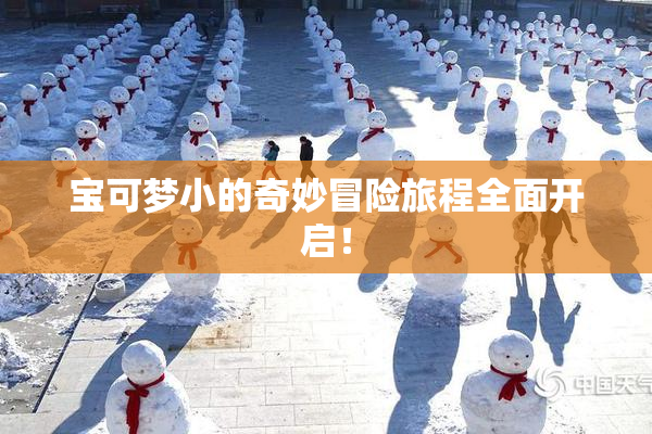 宝可梦小的奇妙冒险旅程全面开启！