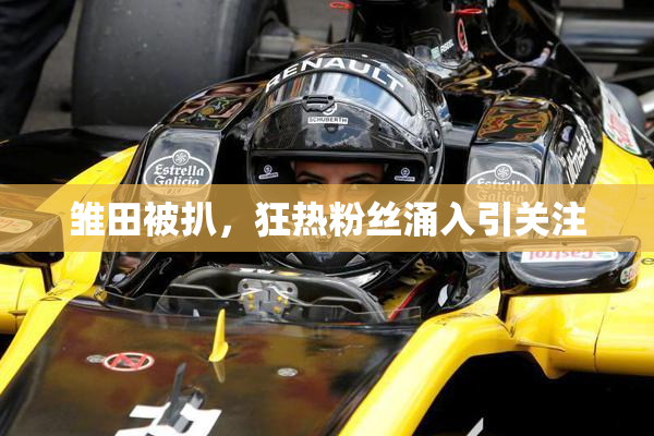 雏田被扒，狂热粉丝涌入引关注