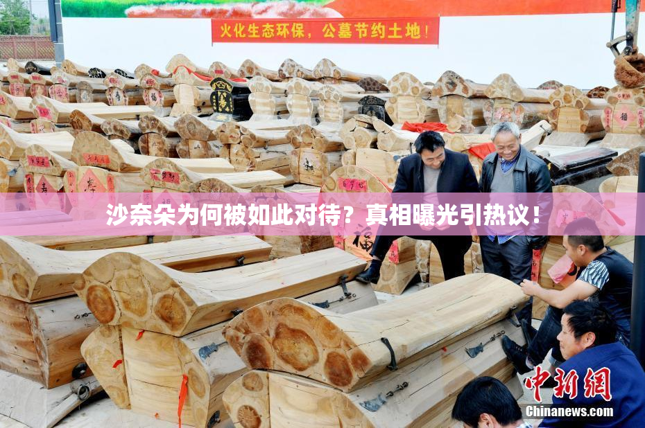 沙奈朵为何被如此对待？真相曝光引热议！