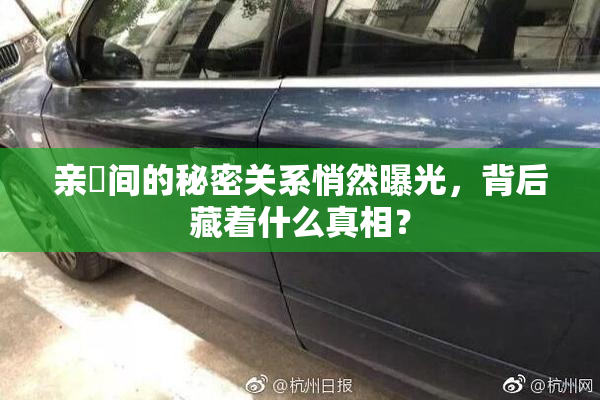 亲妺间的秘密关系悄然曝光，背后藏着什么真相？